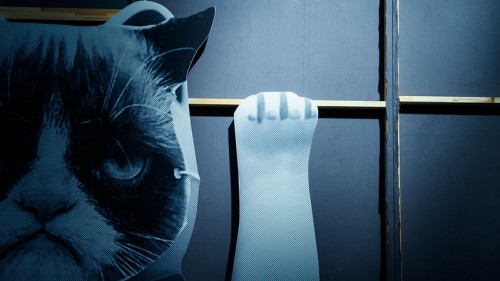 Winkekatze